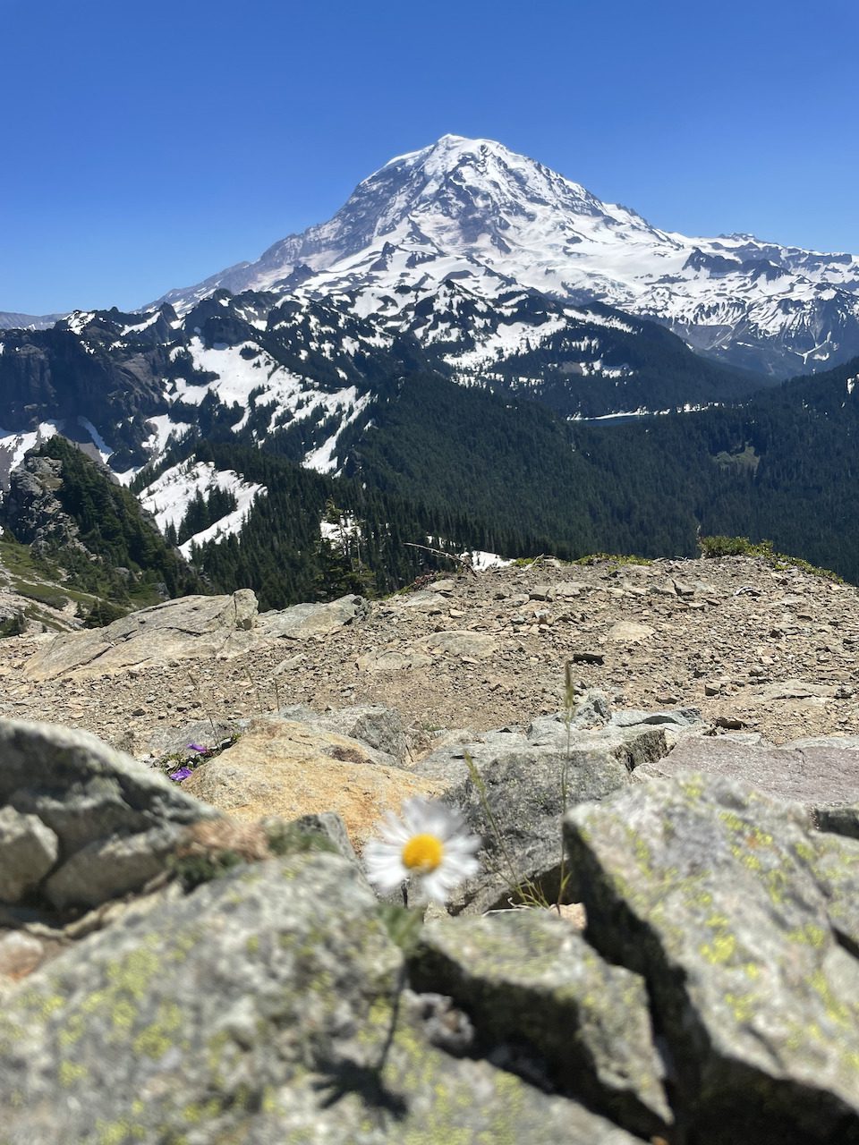 Tolmie Peak Backpacking Itinerary