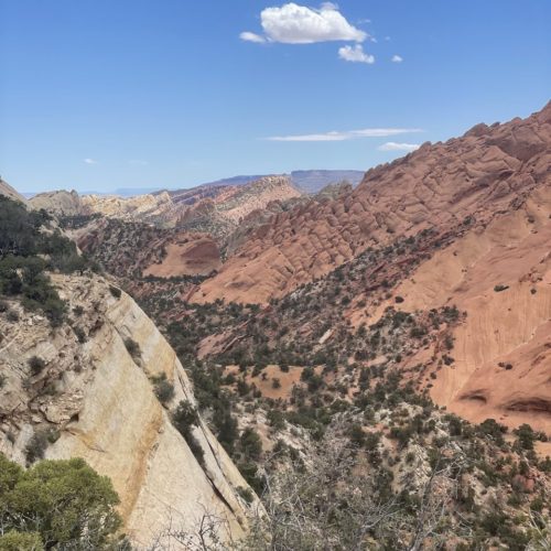 Red circle cliffs upper muley twist